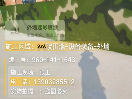 忠县 迷彩漆喷涂价格（按平方米计费）