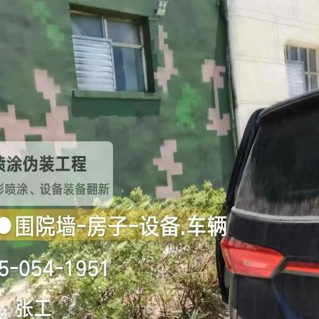 忠县数码迷彩漆施工